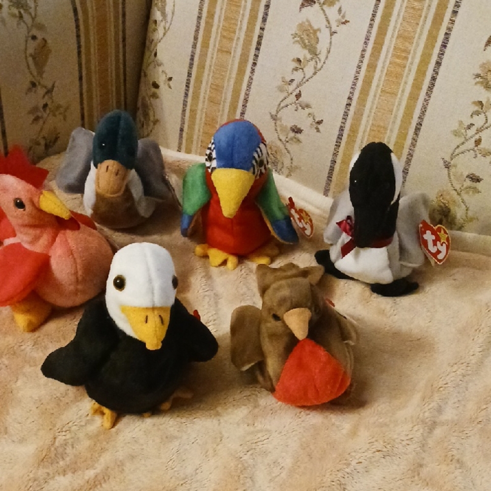 Ty Stuffed Animal Birds Set - Multicolor